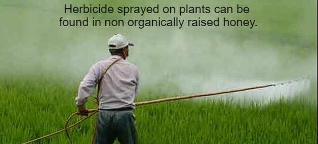 Man Spraying Herbicide on Plants